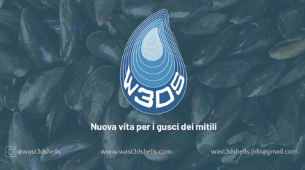 Wast3D Shells
